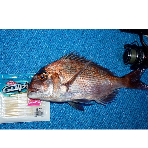 ガルプ！SWベビーサーディン　2インチ